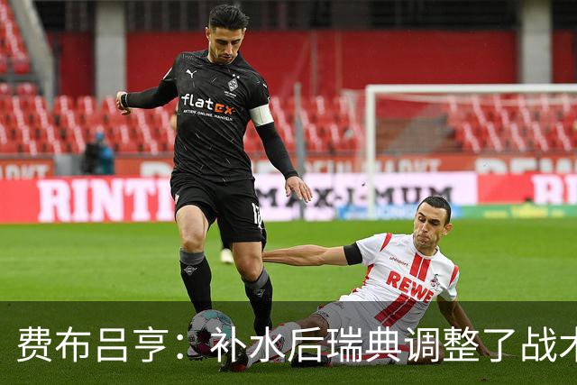 费布吕亨：补水后瑞典调整了战术，费布吕亨做出几次关键扑救